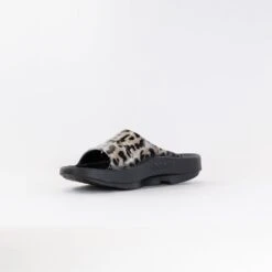 OOFOS Ooahh Limited Slide (Women's) - Leopard -Chiappetta Shoes MG 0051
