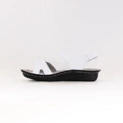 Alegria Vienna (Women's) - Delicut White 11 Alegria Vienna (Women's) - Delicut White -Chiappetta Shoes MG 0359 cf6b5289 21bc 46c8 bd71 728c1be43e7f