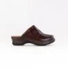 Josef Seibel Carole (Women's) - Chestnut 1 Josef Seibel Carole (Women's) - Chestnut -Chiappetta Shoes MG 0517 b5233ea0 411b 46c6 997a 2b62020891f0