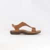 Taos The Show (Women's) - Caramel -Chiappetta Shoes MG 1294