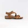Taos Trulie (Women's) - Camel -Chiappetta Shoes MG 2143