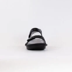 Alegria Vienna (Women's) - Not A Cheetah 10 Alegria Vienna (Women's) - Not A Cheetah -Chiappetta Shoes MG 4527