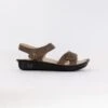 Alegria Vienna (Women's) - Stones Throw -Chiappetta Shoes MG 4531