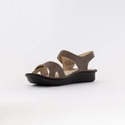 Alegria Vienna (Women's) - Stones Throw -Chiappetta Shoes MG 4534