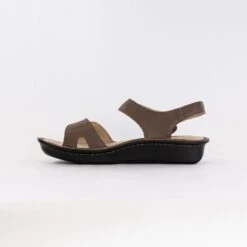 Alegria Vienna (Women's) - Stones Throw -Chiappetta Shoes MG 4535