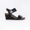 Taos Carousel 3 Wedge Sandal (Women's) - Black -Chiappetta Shoes MG 5898
