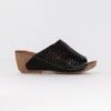 Spring Step Cunacena (Women's) - Black -Chiappetta Shoes MG 6092