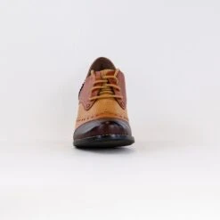 L'Artiste Bardot (Women's) - Brown Multi -Chiappetta Shoes MG 6113