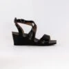 Taos Xcellent (Women's) - Black -Chiappetta Shoes MG 7098