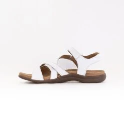 Taos Big Time (Women's) - White -Chiappetta Shoes MG 8627 ab9dea55 acf5 453a 918d 1ce2a642434d