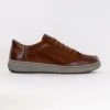 Josef Seibel David 03 (Men's) - Cognac Kombi -Chiappetta Shoes MG 9159