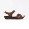 Alegria Vienna (Women's) - Delicut Tawny -Chiappetta Shoes MG 9599 afd33633 68c1 4dfa 8c85 3d3acfd07b68