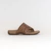 Taos Gift 2 (Women's) - Tan -Chiappetta Shoes NRD09637